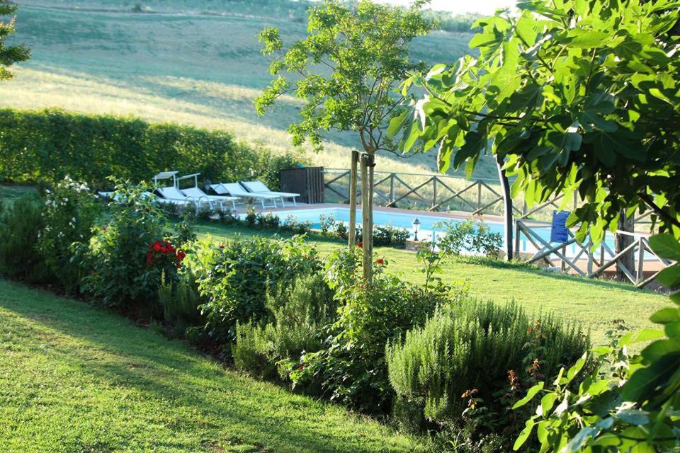 Agriturismo Casanova Asciano Ngoại thất bức ảnh